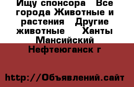 Ищу спонсора - Все города Животные и растения » Другие животные   . Ханты-Мансийский,Нефтеюганск г.